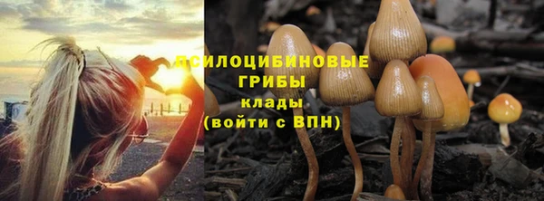 шишки Абаза