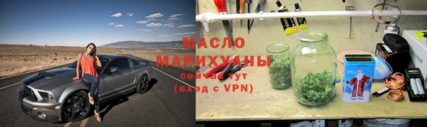 шишки Абаза