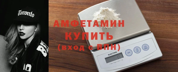 шишки Абаза