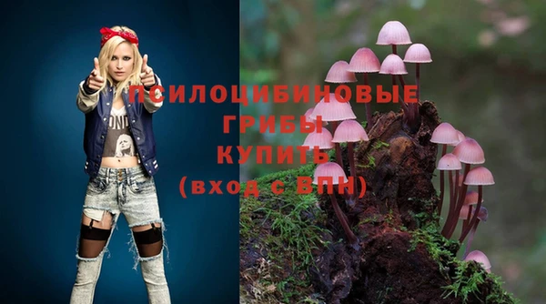 крисы Абинск