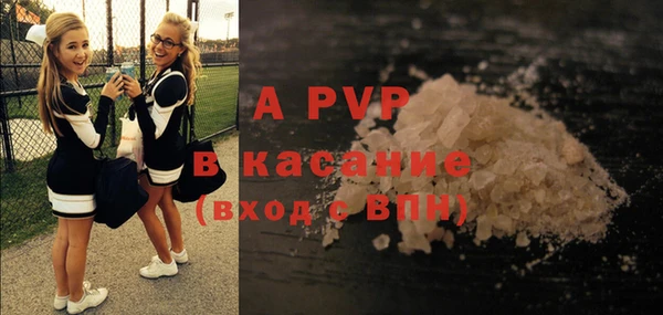 шишки Абаза