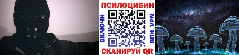 Псилоцибиновые грибы мухоморы  где купить наркотик  Брянск 